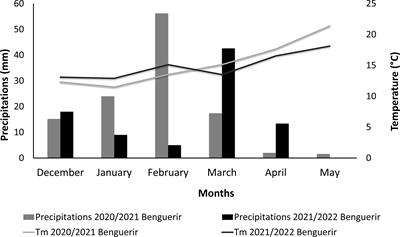 Optimization of macronutrients for improved grain yield of quinoa (Chenopodium quinoa Wild.) crop under semi-arid conditions of Morocco